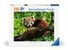 Puzzle 500 p - Adorable Panda roux Puzzle;Puzzle adulte - Ravensburger
