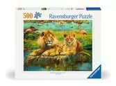 Pz Lions dans la savane 500p Puzzle;Puzzle adulte - Ravensburger