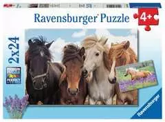 Puzzles 2x24 p - L'amour des chevaux - Image 1 - Cliquer pour agrandir