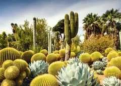 Puzzle 1000 p - The Huntington Desert Garden, Californie, USA (Puzzle Highlights) - Image 2 - Cliquer pour agrandir