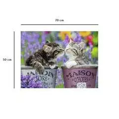 Nathan puzzle 1000 p - Bisous de chatons - Image 8 - Cliquer pour agrandir