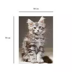 Nathan puzzle 1000 p - Le chaton Maine Coon - Image 8 - Cliquer pour agrandir