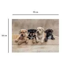 Nathan puzzle 1000 p - Les American Staffordshire Terriers - Image 8 - Cliquer pour agrandir