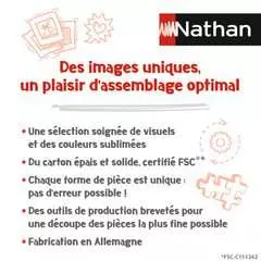 Nathan puzzle 1000 p - Moulin Sorine du vignoble de Santenay, Bourgogne - Image 8 - Cliquer pour agrandir
