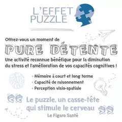 Nathan puzzle 1000 p - Les monuments de Paris - Image 5 - Cliquer pour agrandir