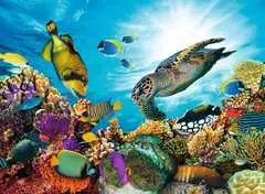 Nathan puzzle 500 p - Le récif corallien - Image 2 - Cliquer pour agrandir