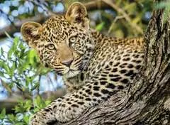 Nathan puzzle 500 p - Les yeux du léopard - Image 2 - Cliquer pour agrandir