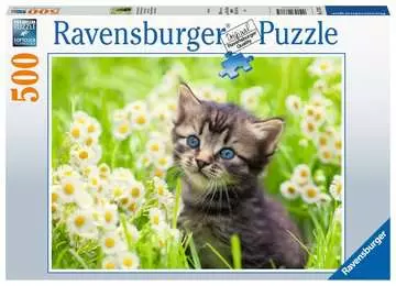 Puzzle 500 p - Chaton dans la prairie Puzzle;Puzzle adulte - Image 1 - Ravensburger