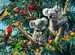 Koalas dans l arbre Puzzle;Puzzle adulte - Image 2 - Ravensburger